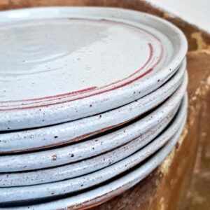 blue grey dinner plates