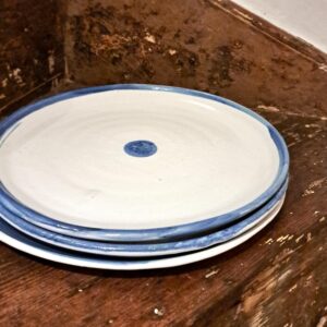 blue & white dinner plates
