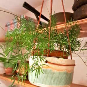 hanging plant pot