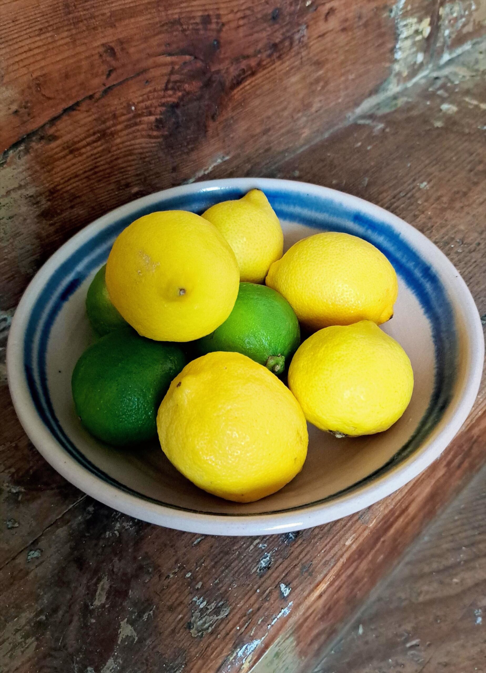 pink pasta bowl pink pasta bowl