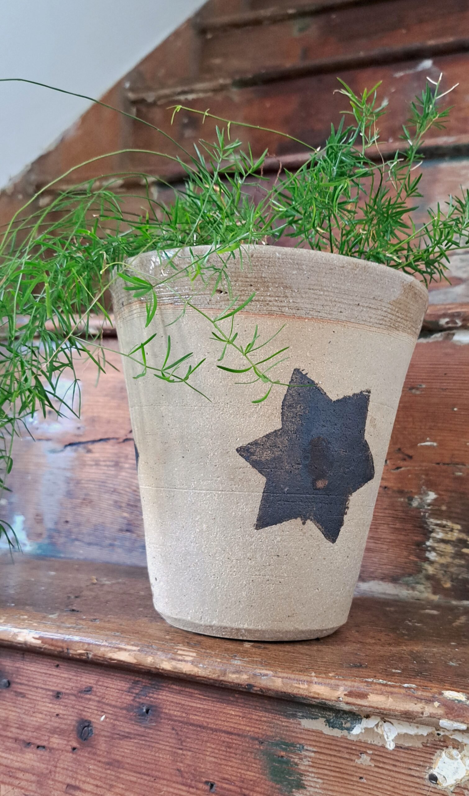 tall 'star' pots tall 'star' pots