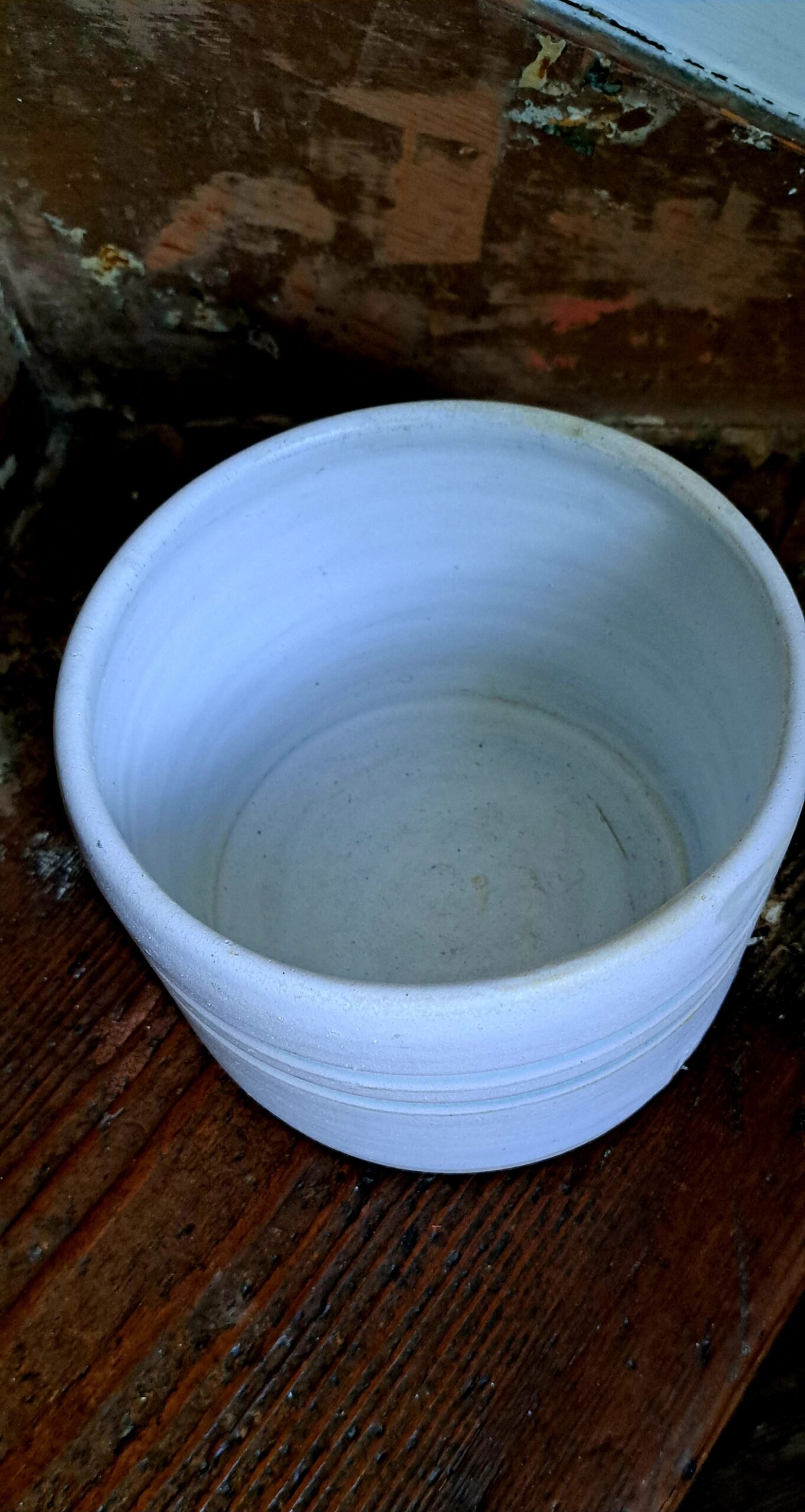 white plant pot white plant pot
